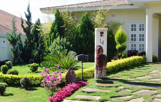 Grama esmeralda usada em jardins