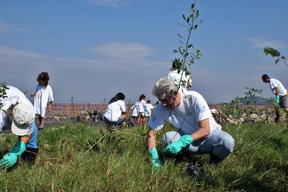 Voluntários se reúnem para plantar mudas em campos abertos