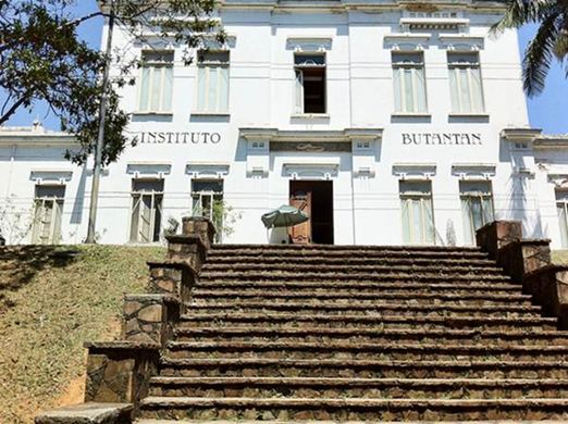 Instituto Butantan