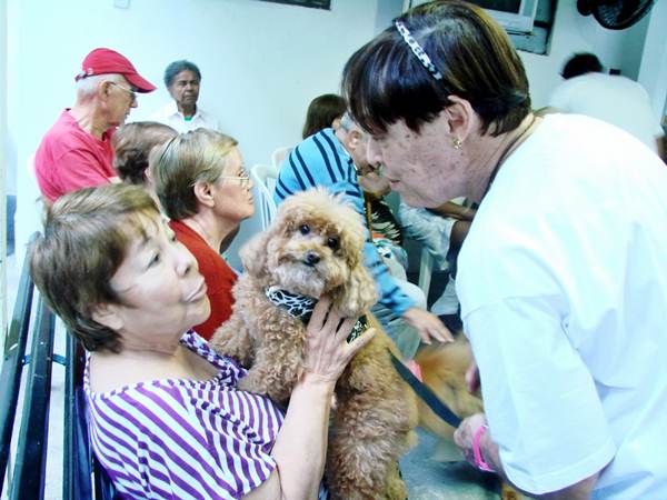 Algumas clínicas geriátricas realizam terapia com animais