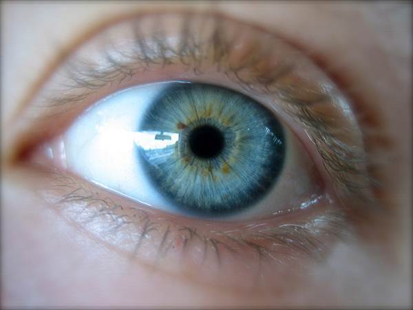 Íris é a parte colorida dos olhos e a pupila é a parte preta