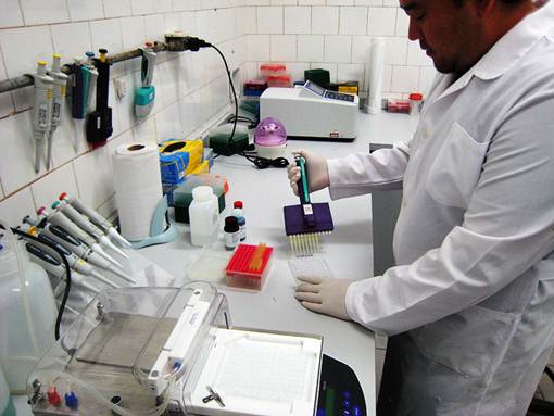 Produção de medicamentos em laboratório