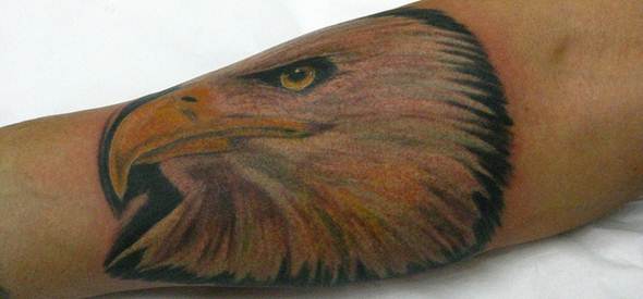 Tatuagem de águia