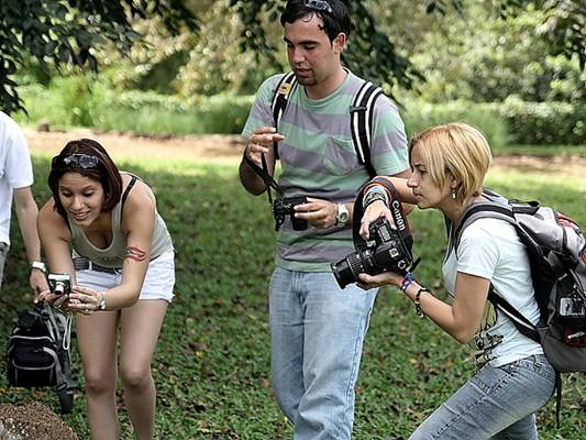 Vários tipos de câmeras e olhares